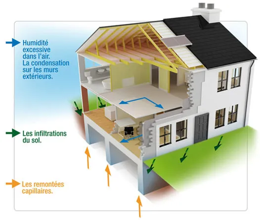 traiter l'humidité dans son projet de rénovation, Belley, AINPACT'RÉNOV